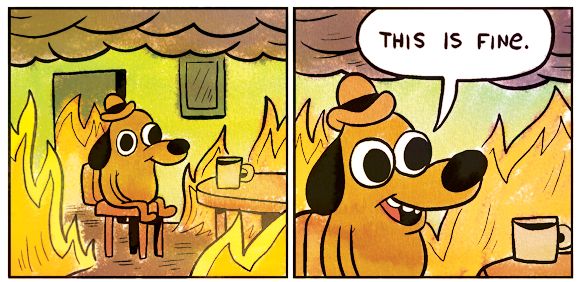 This is fine dog meme — dog sitting at table with fire around it